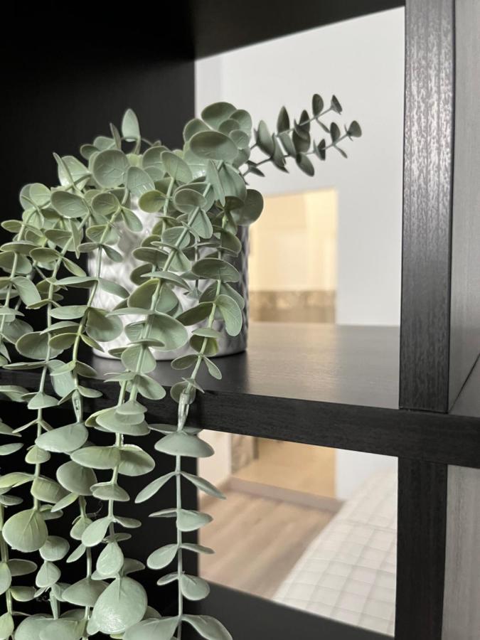 La Alcoba By Casa De Rosita At-Ba-00215 Apartment Fuente del Maestre Ngoại thất bức ảnh